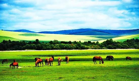 内蒙古风情小巷之旅