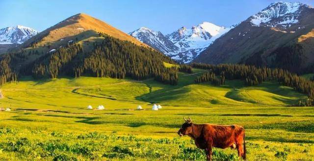 新疆之旅，探寻丝绸之路的绿洲奇迹🌟🏔️🍃